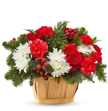 best christmas flowers philippines