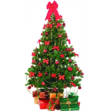 christmas tree philippines online