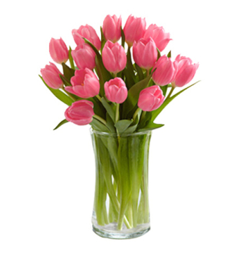 holland tulips bouquet delivery manila