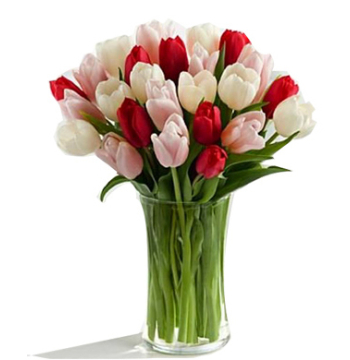 holland tulips bouquet delivery manila