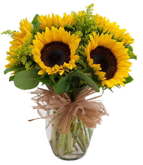 sunflowers delivery philippines