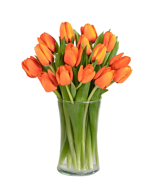 holland tulips bouquet delivery manila