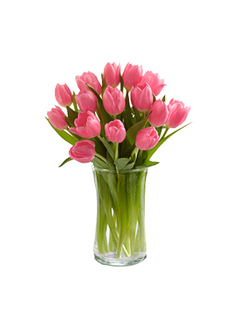 holland tulips bouquet delivery manila