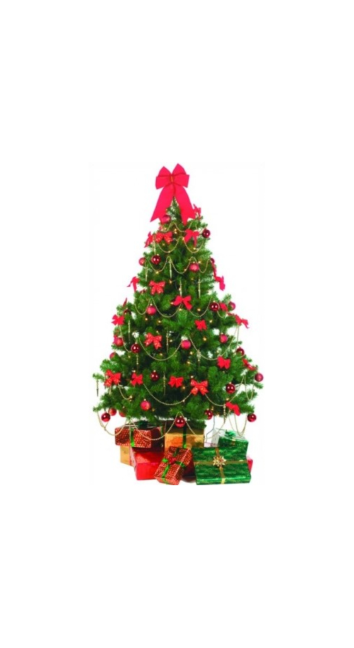 christmas tree philippines online